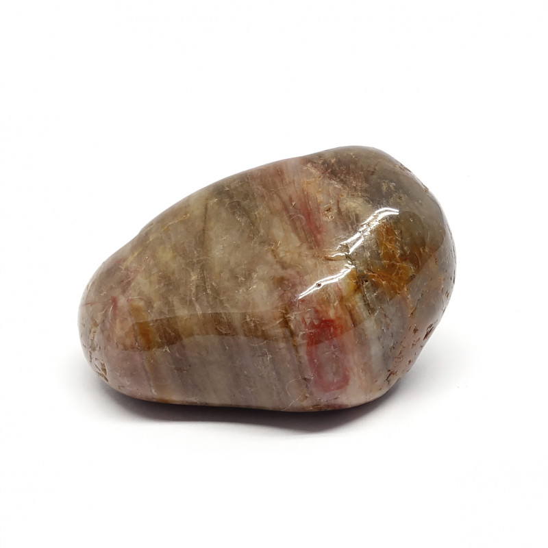https://www.crea-stones.com/5158-large_default/bois-fossile-galet-poli-taille-m.jpg