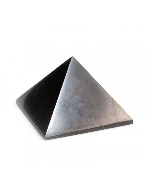 La shungite. Symbole de protection.