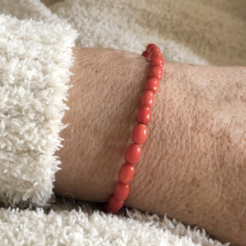 Corail bambou